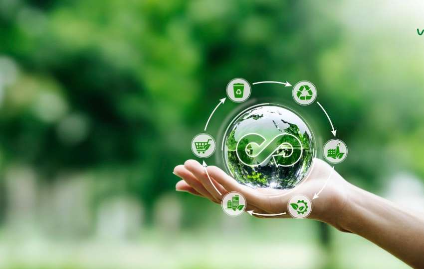 Invest In Carbon Credits